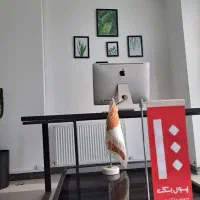 عکاس و فیلمبردار|استخدام هنری و رسانه|شیراز, زرهی|دیوار