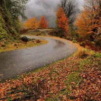 خرید و فروش  وسایل نو و دست دوم یا کار کرده