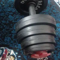 دمبل
