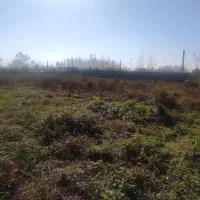 دو قطعه۲۵۰متری داخل طرح دهستان چهارده لولمان رشت|فروش زمین و ملک کلنگی|آستانه اشرفیه, |دیوار