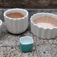 تعدادی گلدان سرامیکی و پلاستیکی