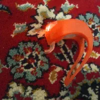 لوازم دوچرخه حرفه ای