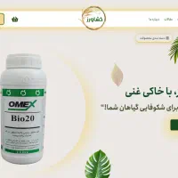 طراحی سایت حرفه ای - طراح سایت|خدمات رایانهای و موبایل|پرند, فاز ۱|دیوار