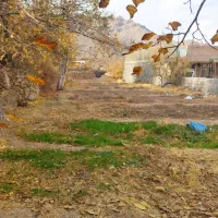 زمین ۳۰۰ متری بخش خضرآباد روستایی دربرز