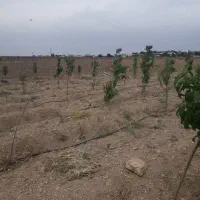 زمین مسکونی