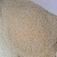 برنج علی کاظمی الشتر