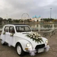 نوستالژی. ماشین عروس. خاطره انگیز