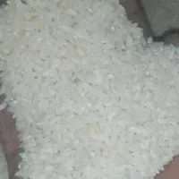 برنج عنبربو ایرندگان تازه و خوشعطر|خوردنی و آشامیدنی|ایرانشهر, |دیوار