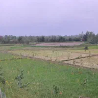 گیلان سنگر450 متر مسکونی 2000متر زمین باغ فنس شد|فروش زمین و ملک کلنگی|سنگر, |دیوار