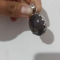 پلاک گردنی شجر دریایی