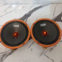 دو عدد میدرنج سایز ۶ نو صاب ۱۲اینچی