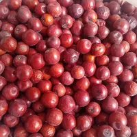 عناب تازه