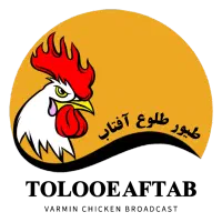 جوجه اردک و مرغ محلی و گلپایگانی