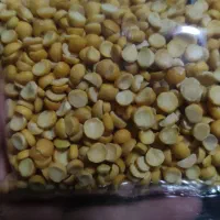 حبوبات|خوردنی و آشامیدنی|رشت, گیل|دیوار