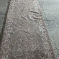 کناره گردوی رنگ 500 شانه