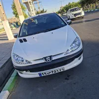 پژو ۲۰۶ تیپ ۵ ، بیرنگ