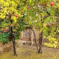 فروش ویلایی در دوطبقه دوبعر ماشین \املاک علیزاده