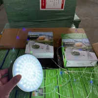 ریسه و چراغ|ریسه و چراغ تزئینی|ایلام, |دیوار