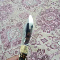 چاقو هست دنده