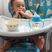 صندلی غذای  milano کاملا سالم میباشد تخفیف دارد|تخت و صندلی بچه|تهران, جنت‌آباد شمالی|دیوار