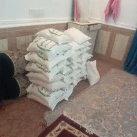 فجر سالم ۲۵۲تومان درجه یک ارسال رایگان داخل استان