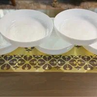 مرغ/سالادخوری مینیمال