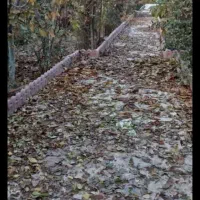 باغچه|فروش زمین و ملک کلنگی|چهاردانگه (تهران), |دیوار