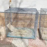 قفس در حد|لوازم جانبی حیوانات|سبزوار, توحیدشهر|دیوار