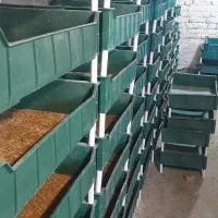 واگذاری فارم میلورم|خزنده|مشهد, میان ولایت|دیوار