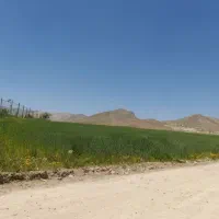 زمین کشاورزی سند داربرجادهی سراب