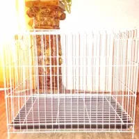 قفس بزرگ پرنده نو|لوازم جانبی حیوانات|بوشهر, |دیوار