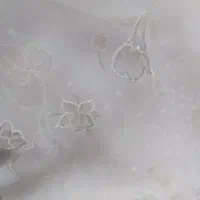 چادرعروس وچندعددمانتو