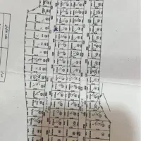 زمین-خارج-از-طرح-کشمیش-تپه