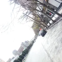 اجتماعی داوطلبانه