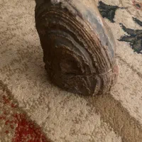 سنگ سلمانی وفسیل