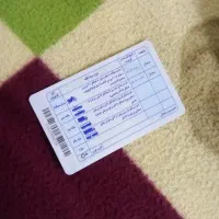 سلام ی گواهینامه پیدا شده