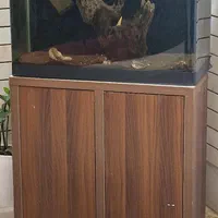 اکواریو|ماهی|کرمانشاه, |دیوار