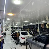 برچسب دودی، کاوربدنه