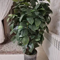 درختچه مصنوعی