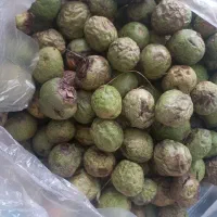 گردو
