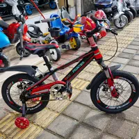 دوچرخه دنده ای|دوچرخه، اسکیت، اسکوتر|رشت, فلسطین|دیوار