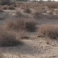 زمین مسکونی  جلابی منطقه درتوجان