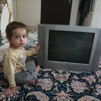 تلویزیون