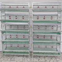 قفس بلدرچین ،قفس جوجه،ابخوری ،دانخوری|لوازم جانبی حیوانات|تنکابن, |دیوار