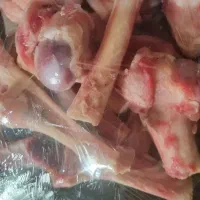 قلم گوسفند