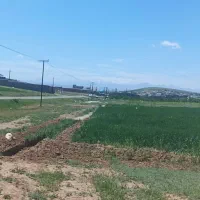 زمین باغ ویلا باغچه در نمرور بر آسفالت