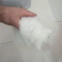 سه عدد گربه پرشین سوپر فلت