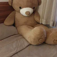 خرس  سایزبزرگ