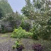 نظافت مغازه