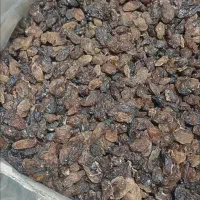 کشمش آفتابی آبگیری|خوردنی و آشامیدنی|ساوه, |دیوار